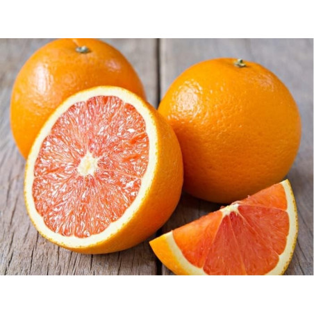 Naranjas rojas navel Cara Cara