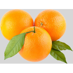 Naranja navelina mesa